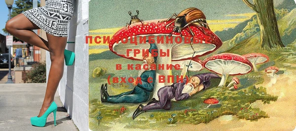 Альфа ПВП Баксан