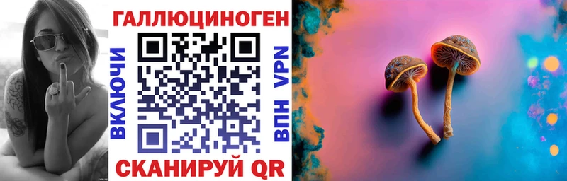 Псилоцибиновые грибы GOLDEN TEACHER  нарко площадка официальный сайт  Оса 