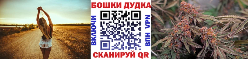 Каннабис OG Kush  Оса 